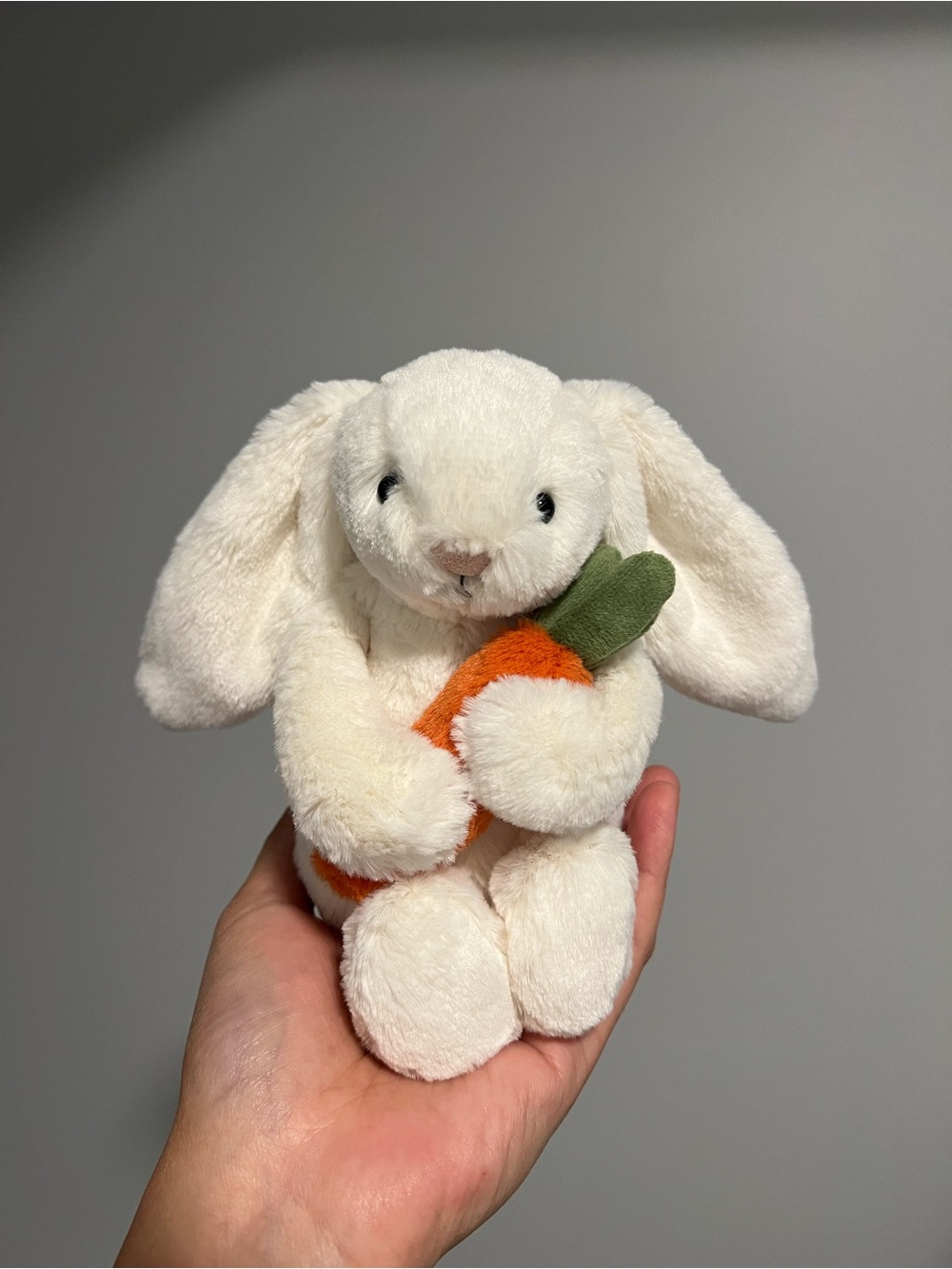 Jellycat Bashful Carrot Bunny BNWT